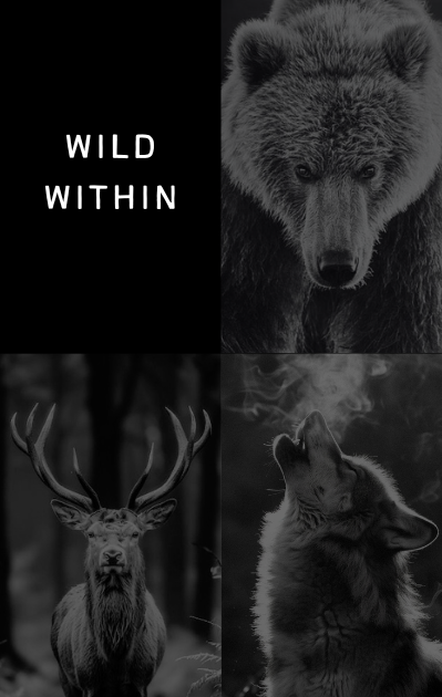 Image with text section